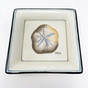 HomArt Small Decorative Square Plate Sand Dollar No 33 Jewelry Trinket Holder